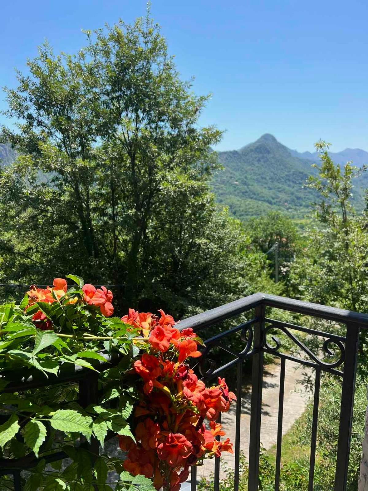 Apartamento Dado Virpazar Exterior foto